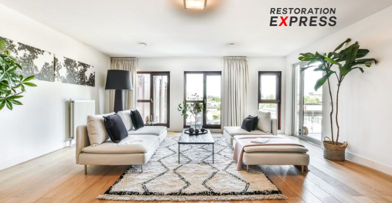 mold-removal-services-toronto mold-removal-services-toronto
